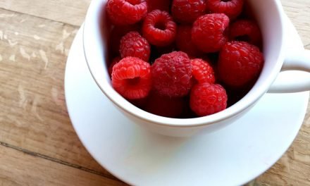 Reprehenderit mollitia eligendi sed