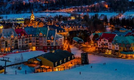 Que faut-il rechercher chez un courtier immobilier à Mont-Tremblant ?