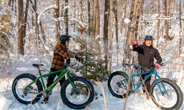 Vivez l’aventure hivernale avec la location de fatbike à Chelsea