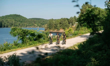 Explorez Chelsea autrement : la location de vélo de gravel