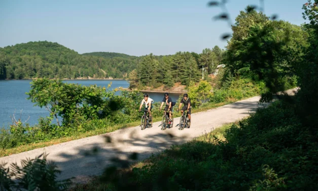 Explorez Chelsea autrement : la location de vélo de gravel