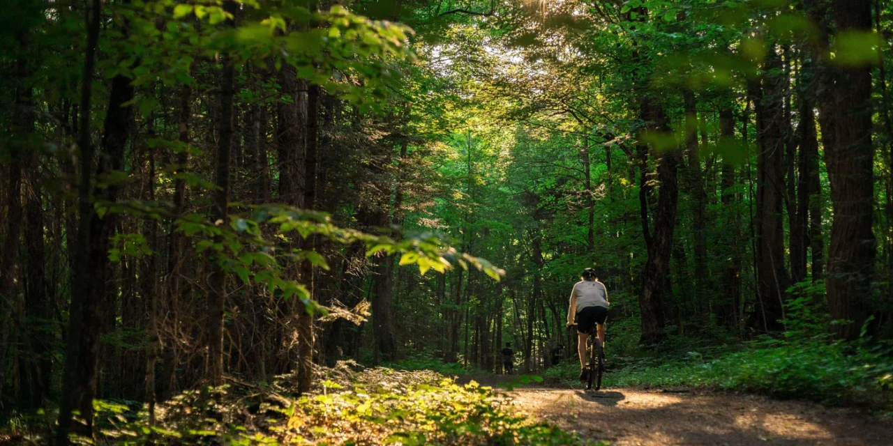 Partez à l’aventure : L’exploration à vélo de gravel à Chelsea