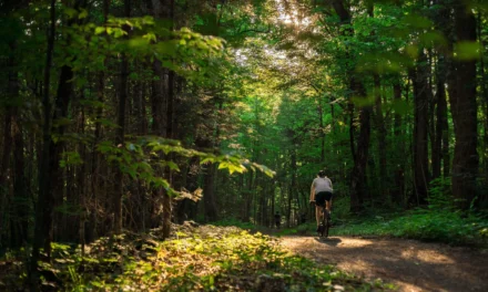 Partez à l’aventure : L’exploration à vélo de gravel à Chelsea