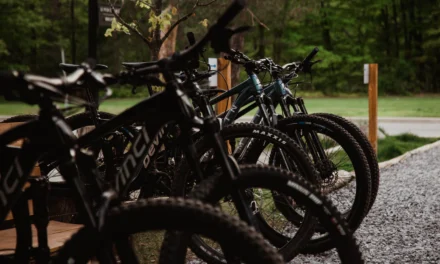 Enfourchez l’aventure : location de vélo de montagne à Chelsea