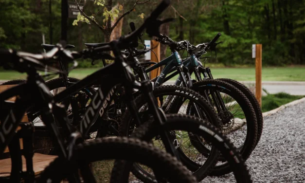 Enfourchez l’aventure : location de vélo de montagne à Chelsea