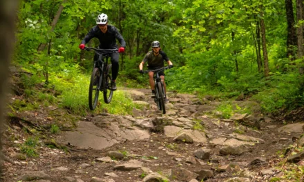L’exploration des sentiers de vélo de montagne à Chelsea