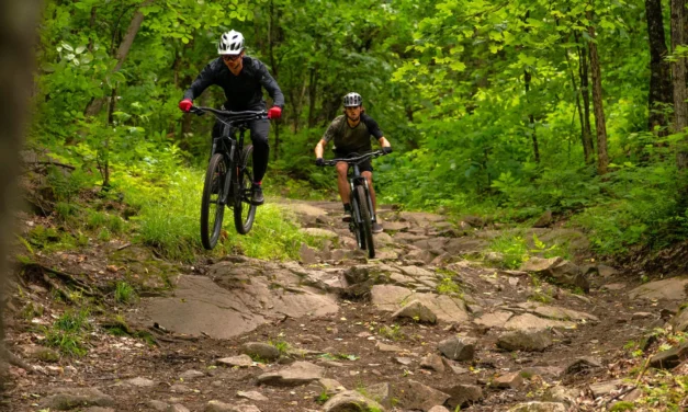 L’exploration des sentiers de vélo de montagne à Chelsea