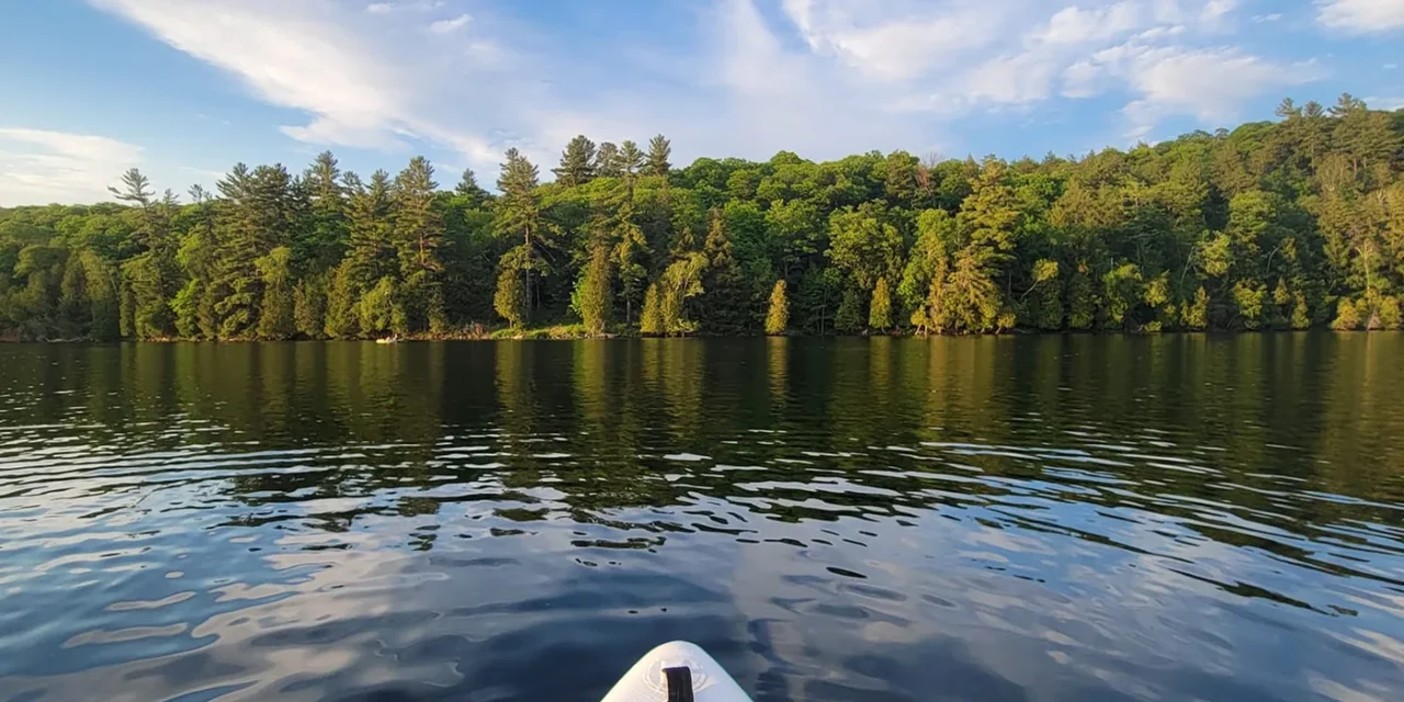 Location de paddle board dans la région de Gatineau-Ottawa