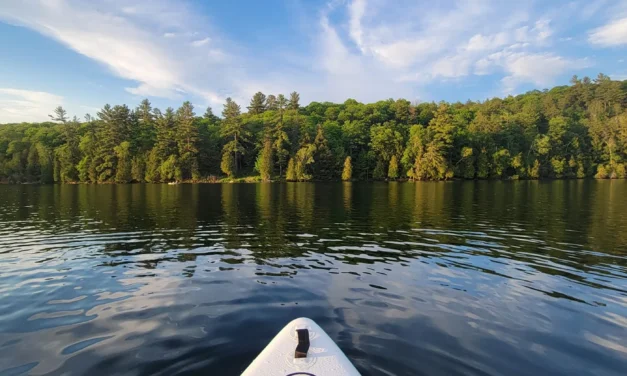 Location de paddle board dans la région de Gatineau-Ottawa