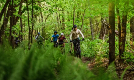 Simplifiez vos balades : découvrez les avantages de l’abonnement de location de vélo à Gatineau-Ottawa
