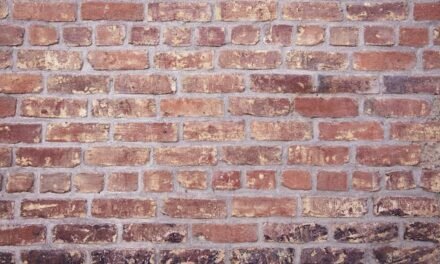 Valorisez Votre Espace avec les Avantages des Briques Décoratives à Gatineau