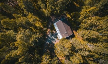 Plongez dans la Sérénité : Les Avantages d’un Refuge en Forêt dans les Hautes-Laurentides