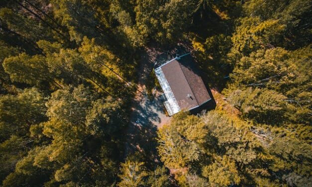 Plongez dans la Sérénité : Les Avantages d’un Refuge en Forêt dans les Hautes-Laurentides