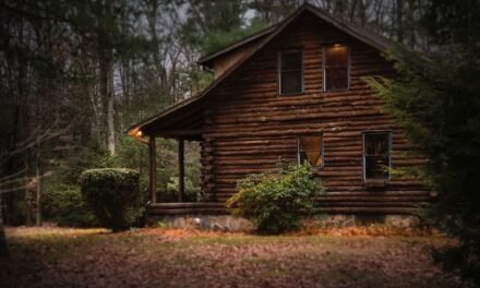 Nature Intime : Découvrez les Avantages d’une Location de Cabine en Forêt dans les Laurentides