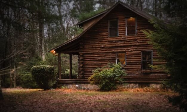 Nature Intime : Découvrez les Avantages d’une Location de Cabine en Forêt dans les Laurentides