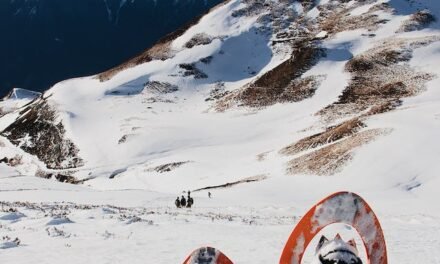 Explorez les Sentiers du Parc de la Gatineau avec Confort : Location de Raquettes Facile