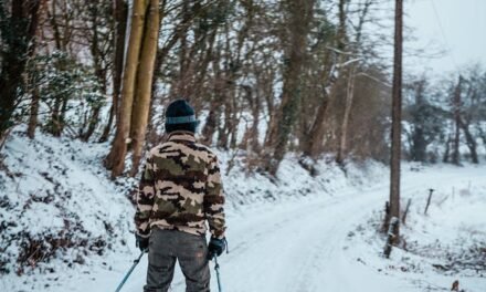 Vivez l’Authenticité avec l’Activité de Ski de Fond Classique à Chelsea
