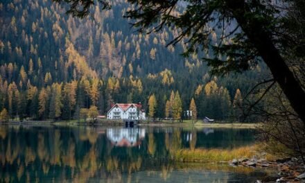 Discover Tremblant Real Estate for Sale: Your Dream Property Awaits