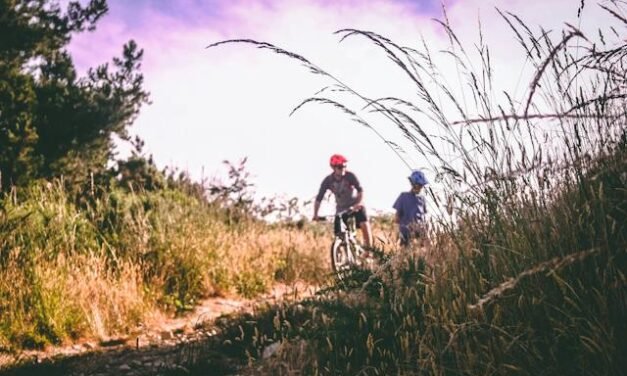 Explore the Beauty of Cantley’s Bike Paths