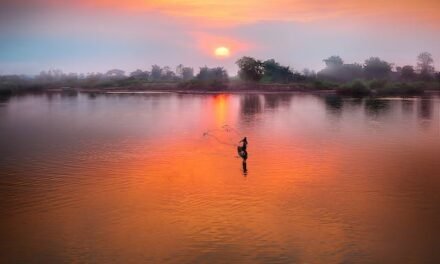 La Magie de la Pêche au Doré dans les Eaux Québécoises
