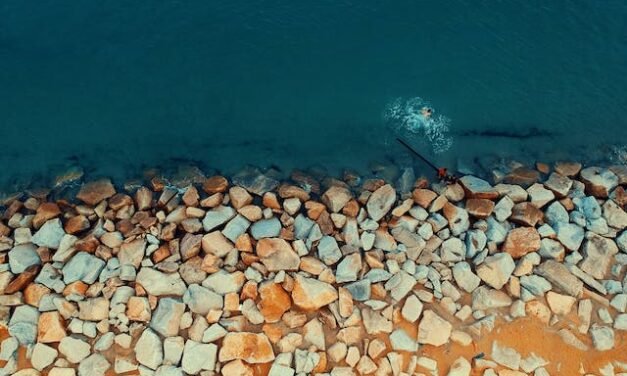 Pierre Décorative à Gatineau : L’Élégance Naturelle à Votre Portée