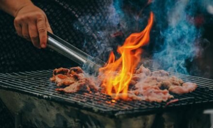 The ultimate guide to choosing the perfect gas grill for your Ottawa BBQ