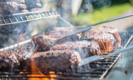 Conseils de Professionnels à Gatineau : Comment Choisir le Bon Barbecue pour Soi