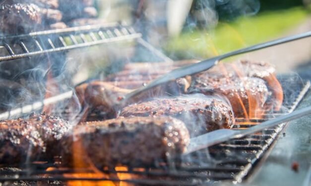 Conseils de Professionnels à Gatineau : Comment Choisir le Bon Barbecue pour Soi