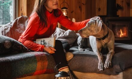 Vivez une expérience inoubliable de refuge en forêt dans les hautes-laurentides