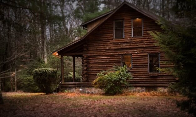 MAXIMISER VOTRE EXPÉRIENCE DE LOCATION D’UNE MINI-CABINE DANS LES LAURENTIDES