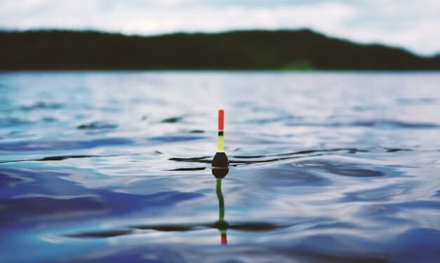 FONCTIONNEMENT D’UNE POURVOIRIE POUR LA PÊCHE AU QUÉBEC