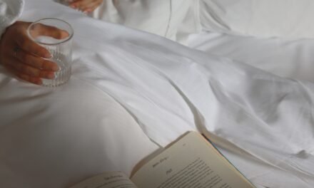 Montréal : Hôtel avec spa Montréal : Une oasis de paix au cœur de la ville