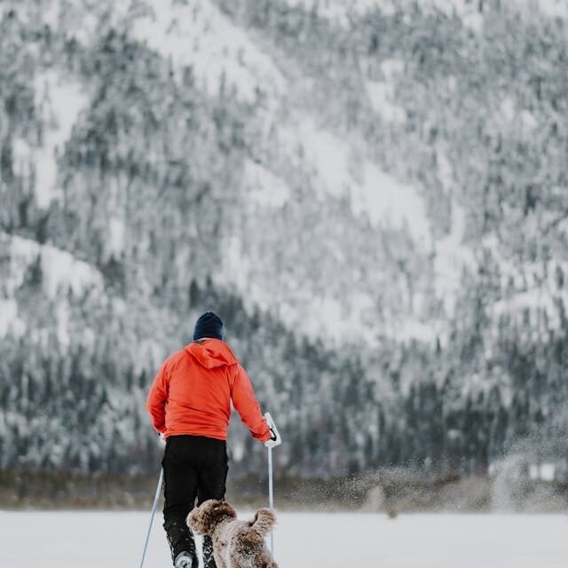Centre de location d’équipement sportif hivernal à Montréal : L’équipement de qualité pour vos aventures d’hiver