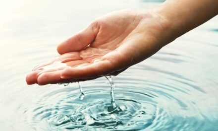 Adoucisseur d’eau à Gatineau : Un allié pour l’environnement et votre budget