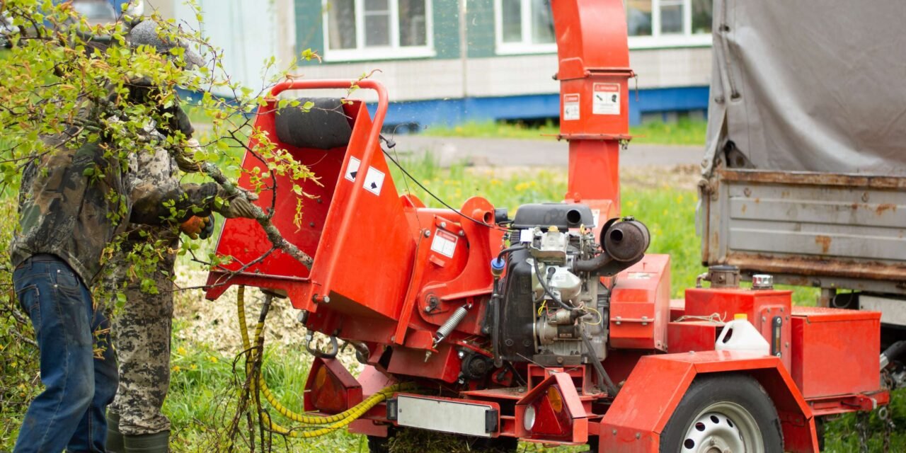 Déchiquetage d’arbre à Gatineau : comment se déroule l’intervention ?