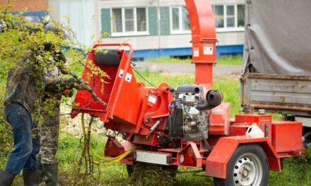 Déchiquetage d’arbre à Gatineau : comment se déroule l’intervention ?